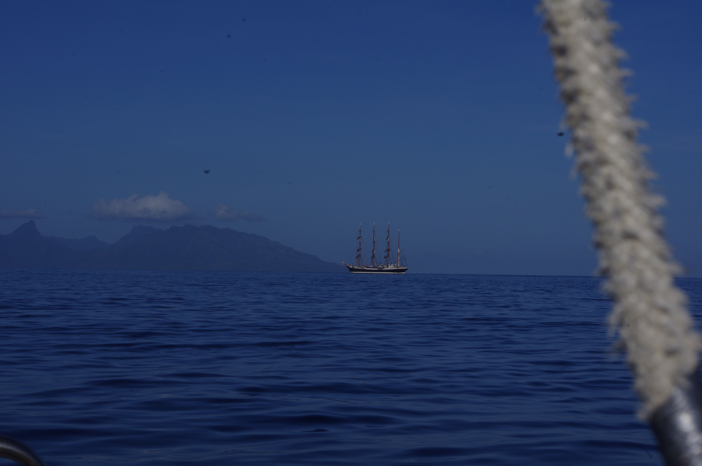Яхта DELTA и барк СЕДОВ торжественно встретились на Таити.