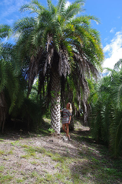 Фиджи: Сад Спящего гиганта