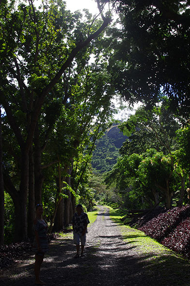 Фиджи: Сад Спящего гиганта