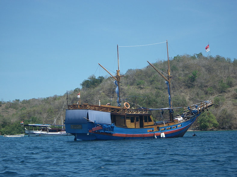 Индонезийские корабли