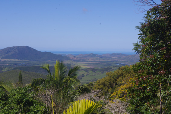 Новая Каледония: сухопутный круиз по острову