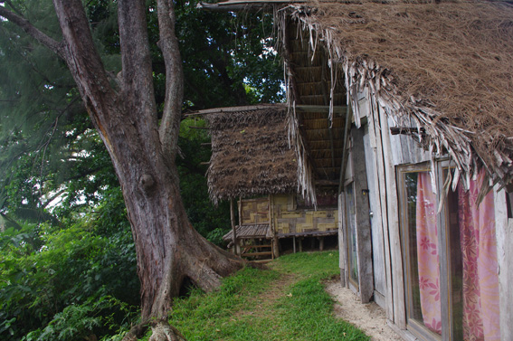 Новая Каледония: к историям про Вануату