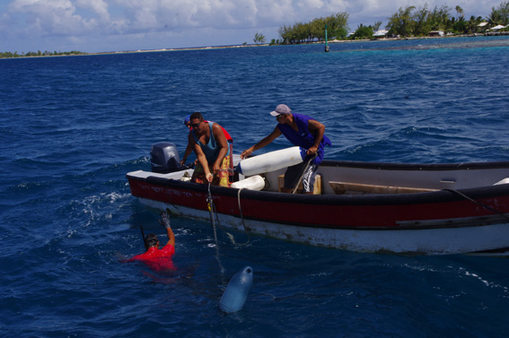French Polynesia, the Tuamotu Archipelago: Manihi Atoll