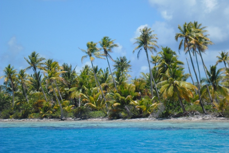French Polynesia, the Tuamotu Archipelago: Manihi Atoll
